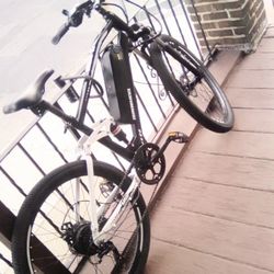 Isinwheel Electric Bike