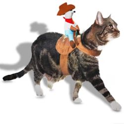 Cat Costumes $12 Each