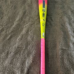Easton: The Dub Baseball Bat