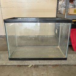 10 Gallon Tank