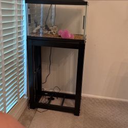 Fish Tank And Stand
