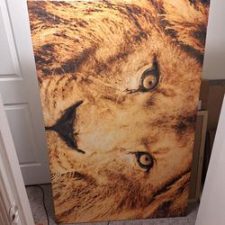 Lion Canvas Painting