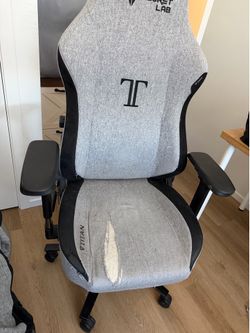 Secret Labs Titan Chair Cookies & Cream