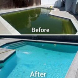 Corona Pool Service From Green To Clean. 