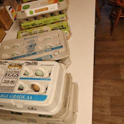 Farm Fresh Chicken Eggs