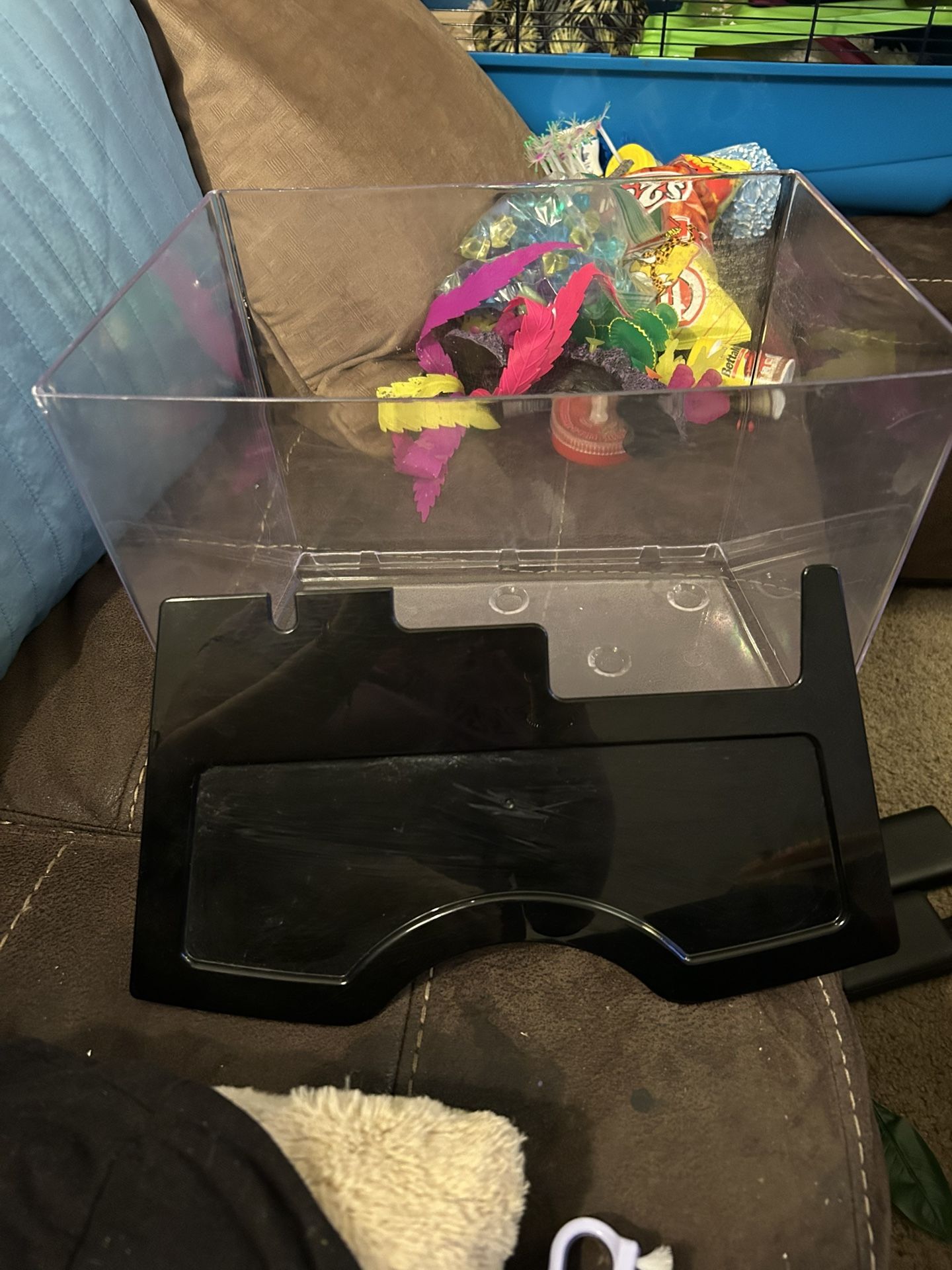 GloFish Crescent Aquarium Kit - 3 Gallons