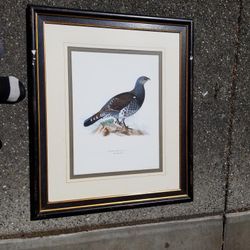 Bird Painting