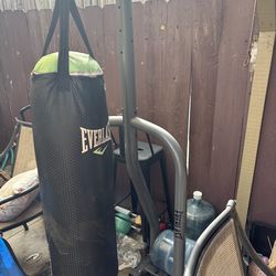 Boxing bag ( everlast)