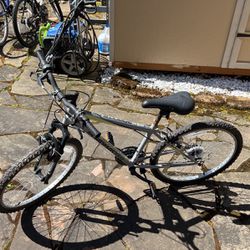 Youth Bike 25-31”