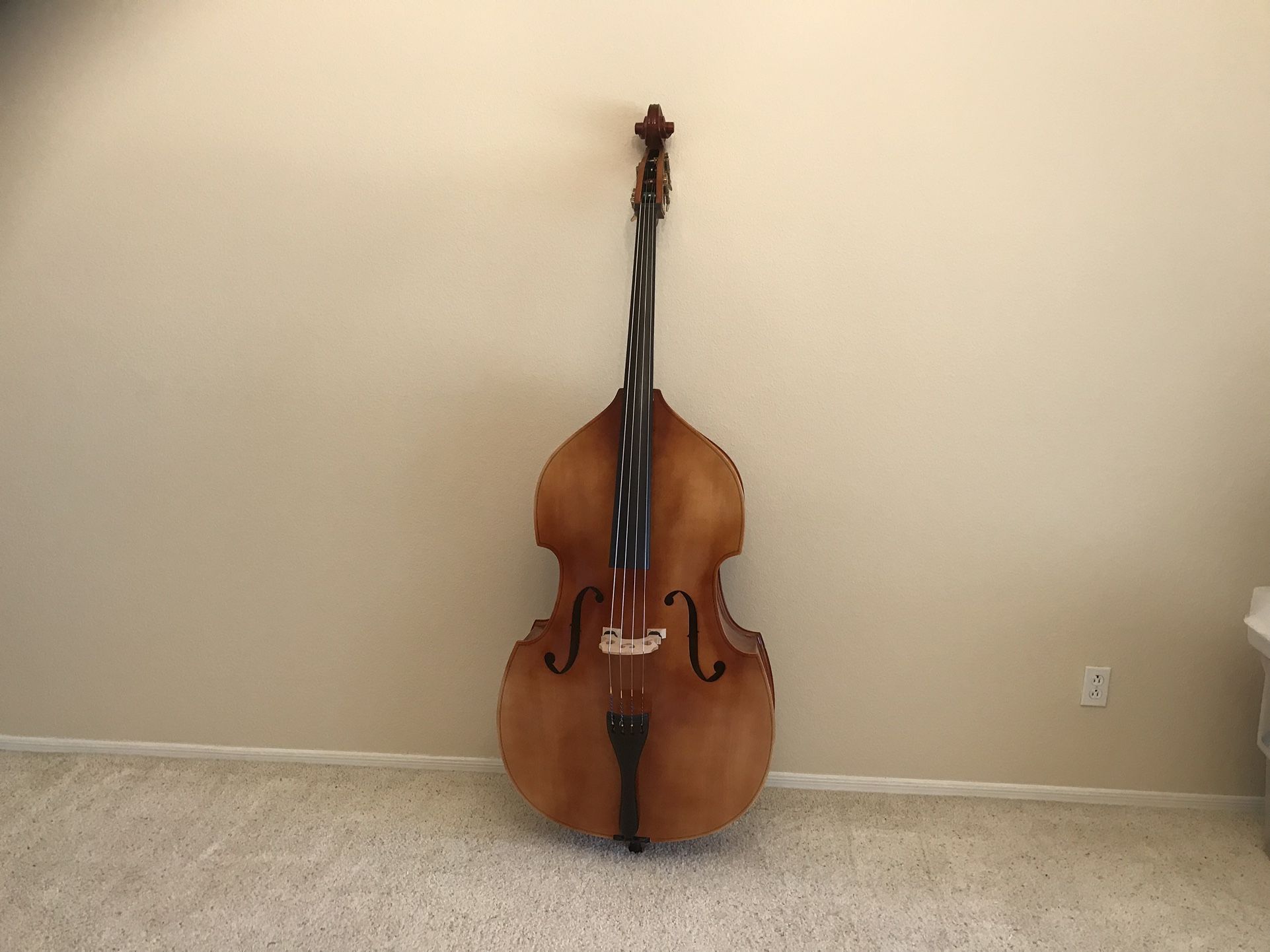 Acoustic Upright Bass