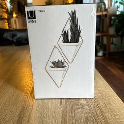 Plant Holders / Wall Hanger