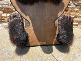 Taxidermy Head and Paws Mount