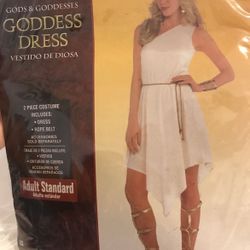 Goddess Costume  (negotiable) 