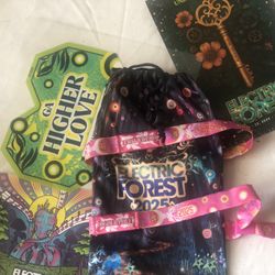 Electric Forest 2025 