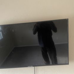 SMART SCEPTURE TV 45”
