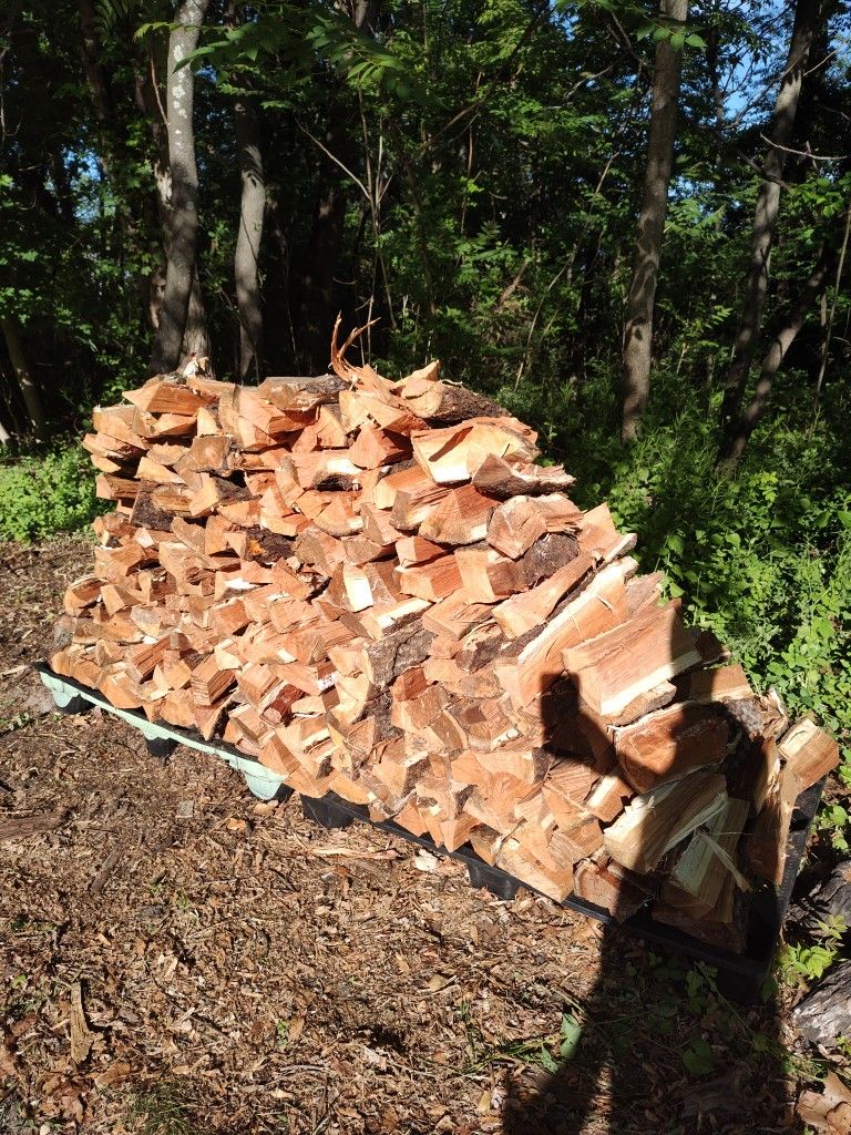 Firewood