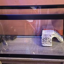 20 Gallon Tank