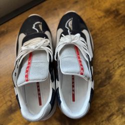 Prada Cups Navy Blue 