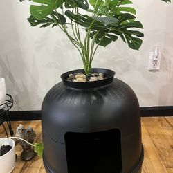 Cat Litter Box