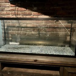 Dish Tank 60 Gallons