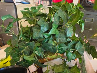 Various Artificial Potted Plants