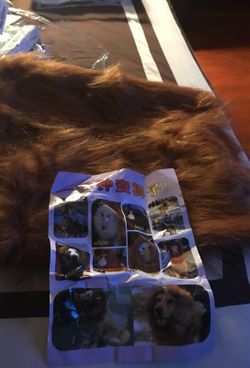 Dog lion mane costume
