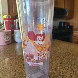 Starbucks Disneyland Tumbler