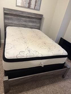 Full size ,  Bed Frame with Mattress and Box Spring