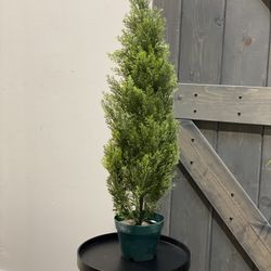 Evgenia 36” artificial cedar topiary in pot. Color: dark green. Base material: plastic. MSRP: $76. Our price: $48 + Sales tax