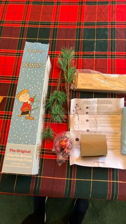 New Charlie Brown Christmas Tree