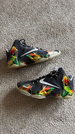 LeBron 11 ‘Everglades’ Size 10