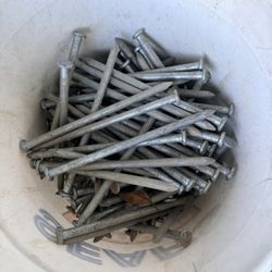 galvanized nails
