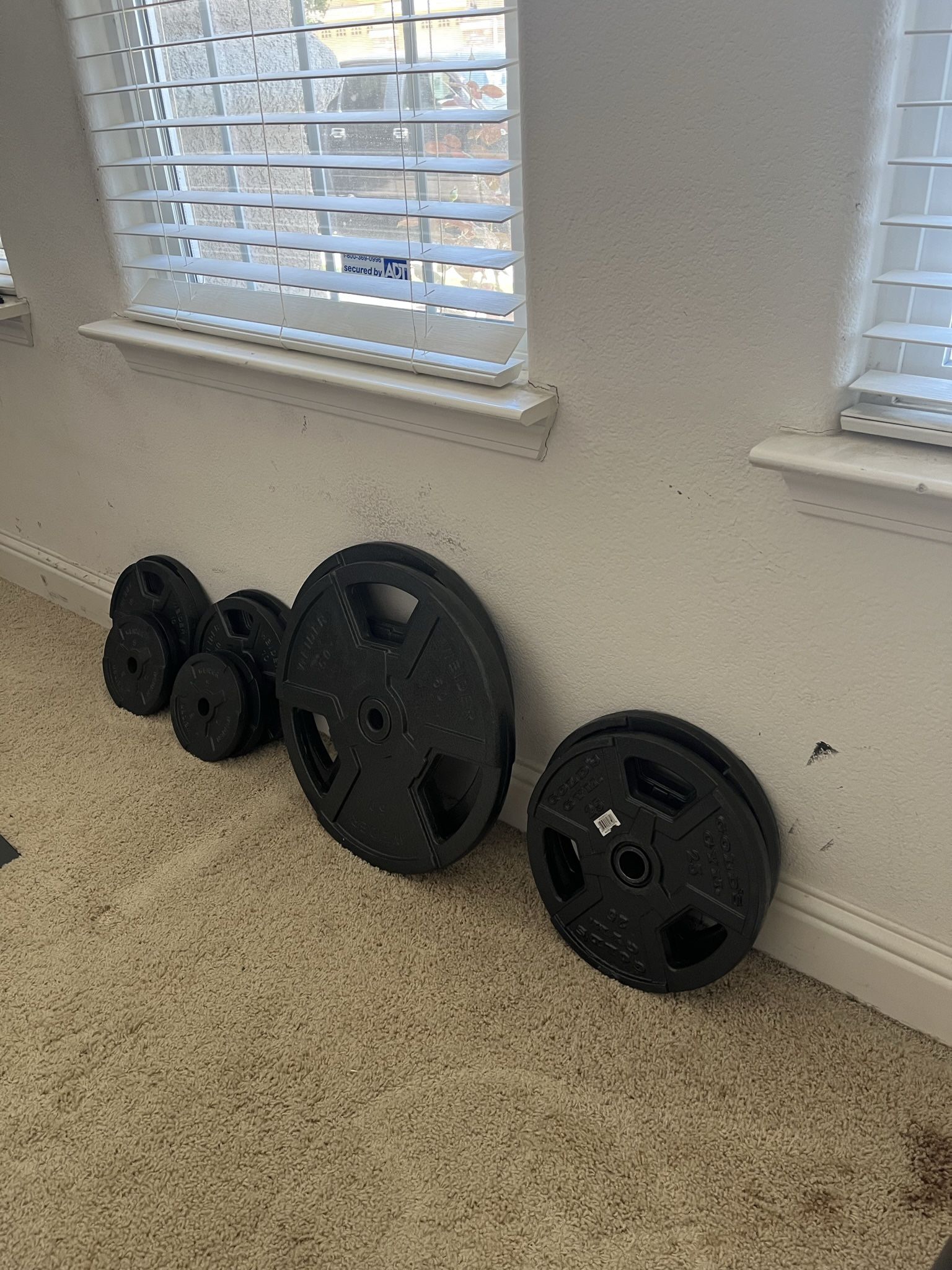Gold’s Gym Weight Plates