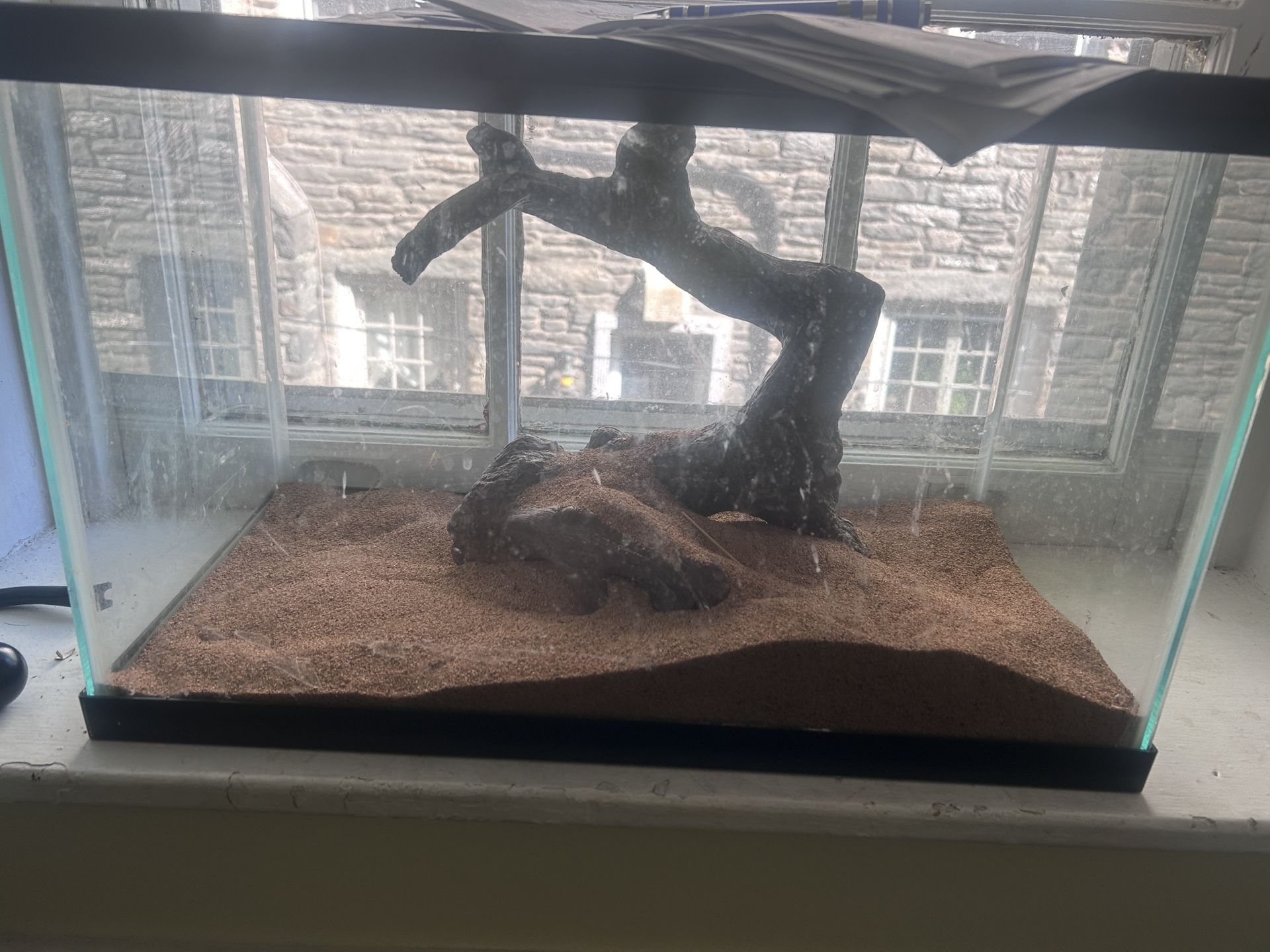 Lizard Tank