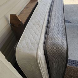 Free Dog Stained Twin Matresses