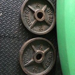 (2) 25lb Plates
