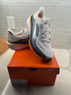Men’s Nike Pegasus 42 NEW Sz 12