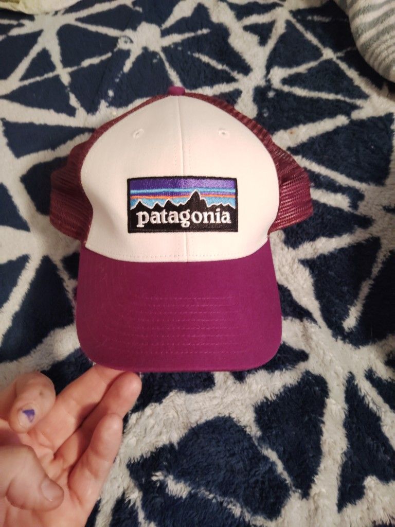 Patagonia Trucker Hat