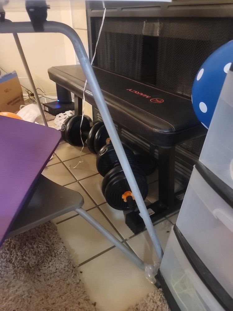 Weight Gym Bench