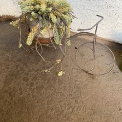 Bike Planter With Donkeys Tail Plant 