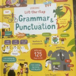 Usborne Lift And Flap books 