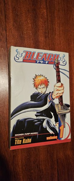 Bleach - Volume 1
