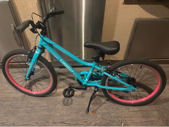 Guardian Bike - pink/teal