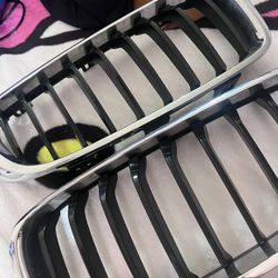 BMW KIDNEY GRILL 