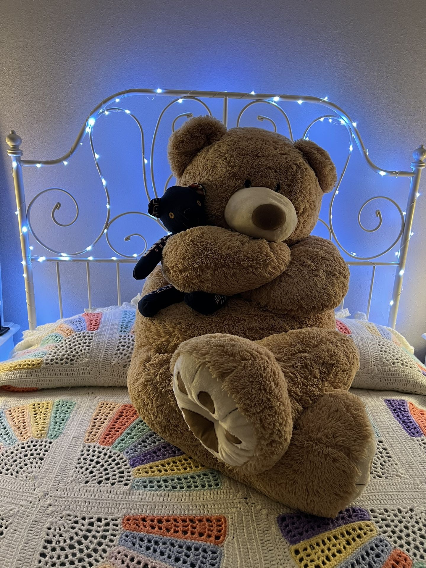 Giant Teddy