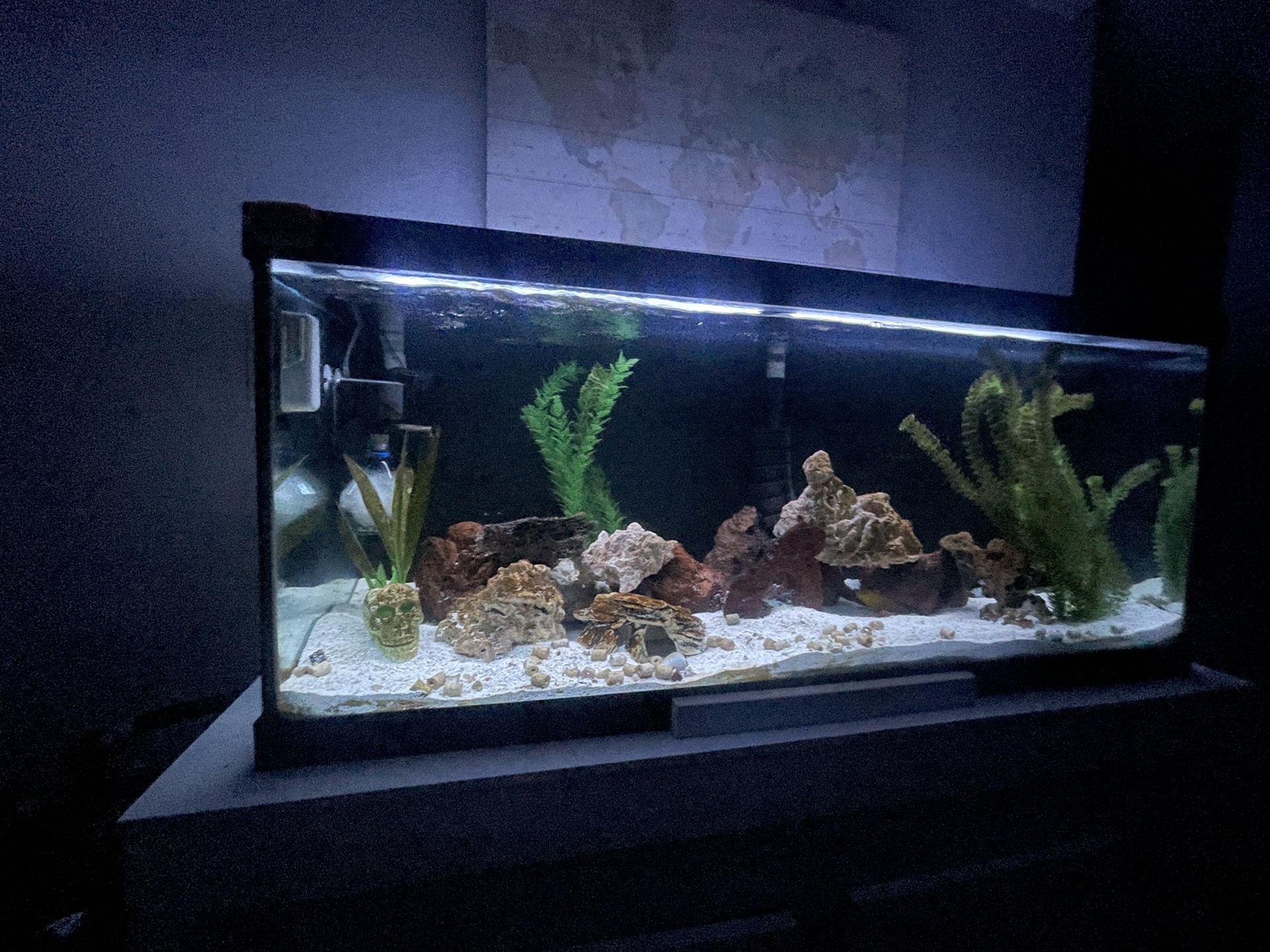 75 gallon aquarium with Stand ,filter and light