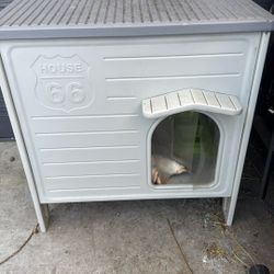 Dog House 