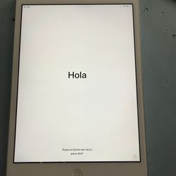 Small iPad Cellular Version 