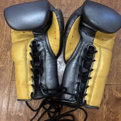 Wicked Boxing Gloves 14oz Training Sparring