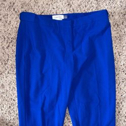 Calvin Klein Professional Pants